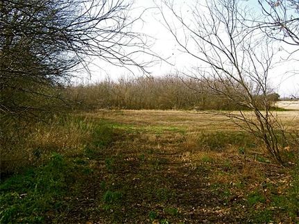 Property in Bexar County, Texas