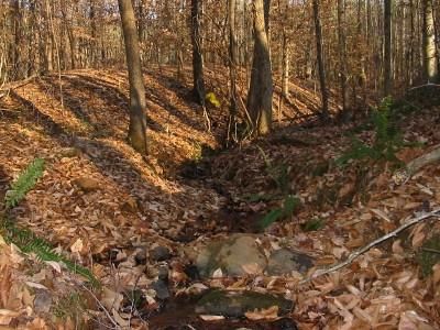 Property in Franklin County, Georgia