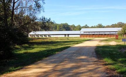 Property in Covington County, Mississippi