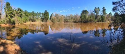 Property in Leon County, Texas