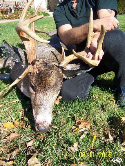 Property in Oconto County, Wisconsin