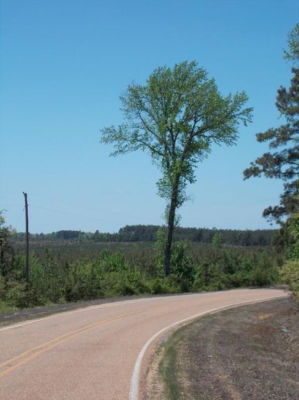 Property in Dallas County, Arkansas