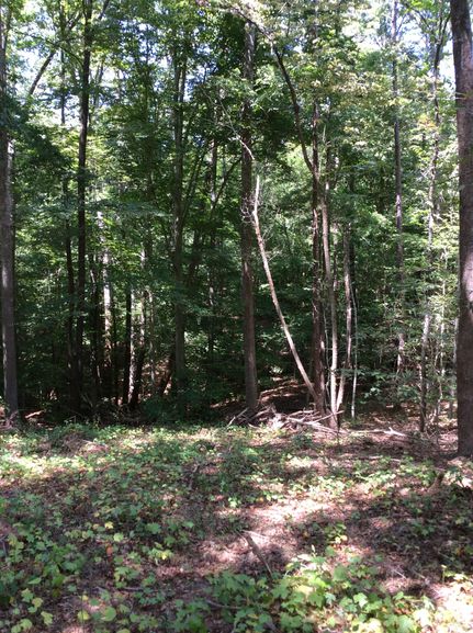 Property in Anderson County, South Carolina