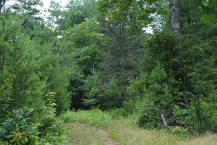 Property in Transylvania County, North Carolina