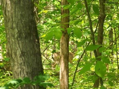 Property in Bedford County, Tennessee