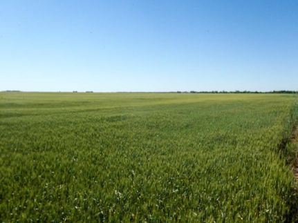 Property in Alfalfa County, Oklahoma