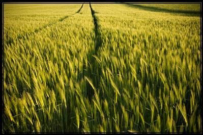 Property in Kingfisher County, Oklahoma