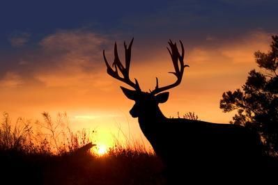 Property in Elk County, Kansas