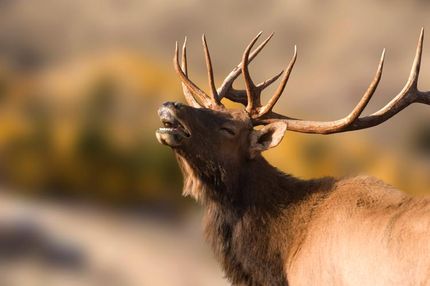 Property in Phelps County, Missouri