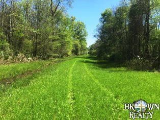 Property in Morehouse Parish, Louisiana