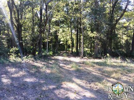 Property in Tensas Parish, Louisiana