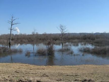 Property in Warren County, Mississippi