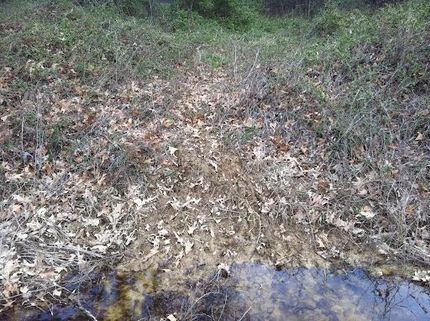 Property in Chicot County, Arkansas