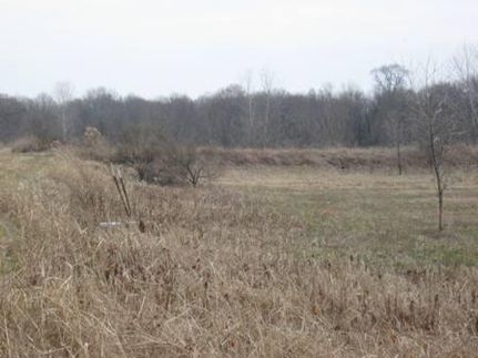 Property in Chicot County, Arkansas