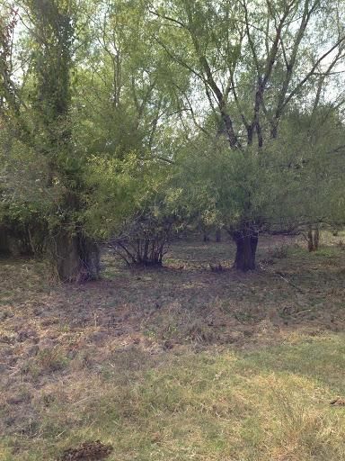 Property in Richland Parish, Louisiana