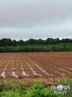 Property in Lincoln County, Arkansas