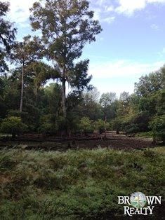 Property in Richland Parish, Louisiana