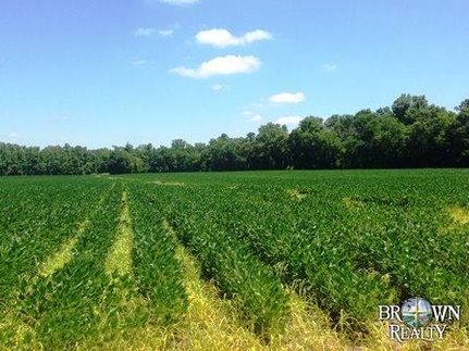 Property in Tensas Parish, Louisiana