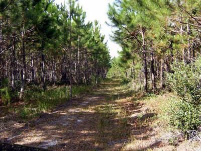Property in Levy County, Florida