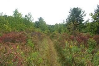 Property in Montgomery County, New York