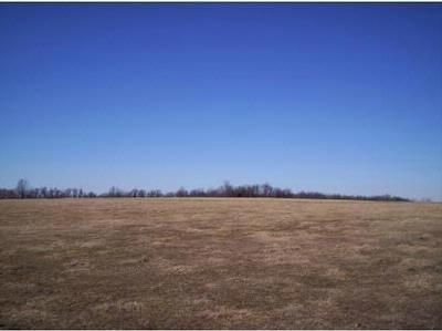Property in Shelby County, Missouri