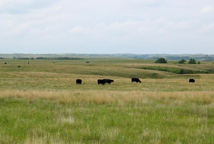 Property in McKenzie County, North Dakota