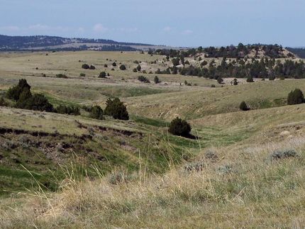 Property in Niobrara County, Wyoming