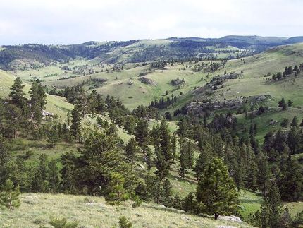 Property in Niobrara County, Wyoming
