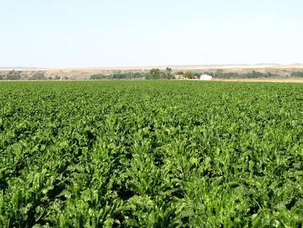 Property in Big Horn County, Montana