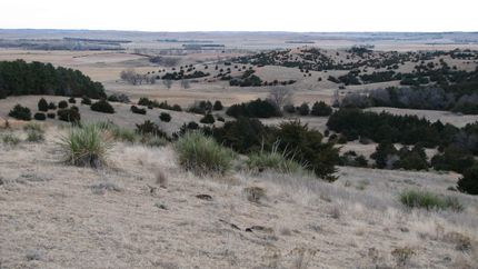 Property in Custer County, Nebraska