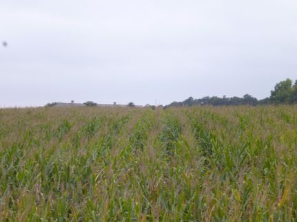 Property in Clay County, Nebraska