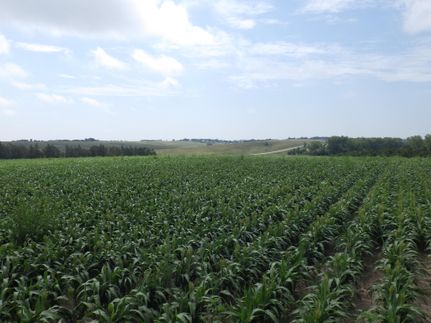 Property in Buffalo County, Nebraska