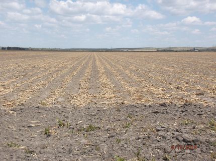 Property in Dawson County, Nebraska