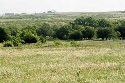 Property in Clay County, Texas