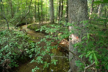 Property in Chilton County, Alabama