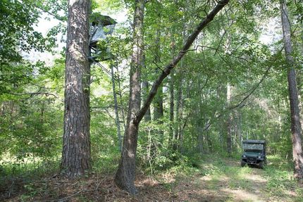 Property in Chilton County, Alabama