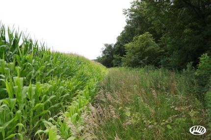 Property in Whiteside County, Illinois