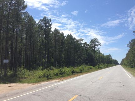 Property in Clinch County, Georgia