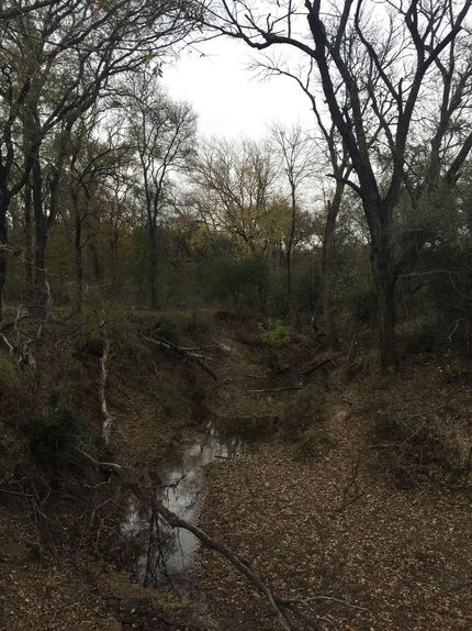 Property in Limestone County, Texas