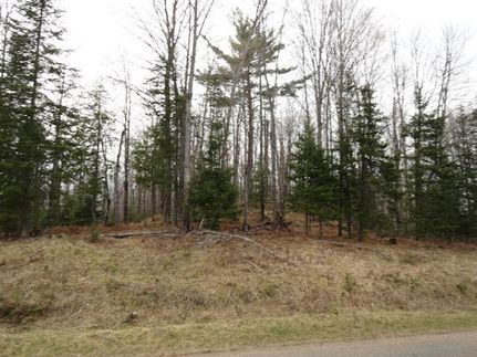 Property in Iron County, Michigan