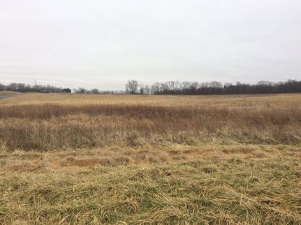 Property in Shelby County, Illinois