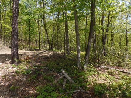 Property in Carbon County, Pennsylvania