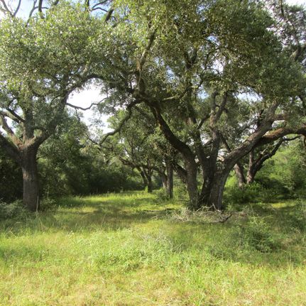 Property in Colorado County, Texas