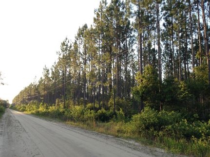 Property in Ware County, Georgia