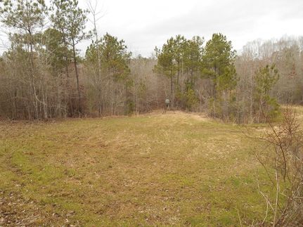 Property in Lee County, Alabama