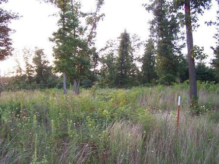 Property in Madison County, Arkansas