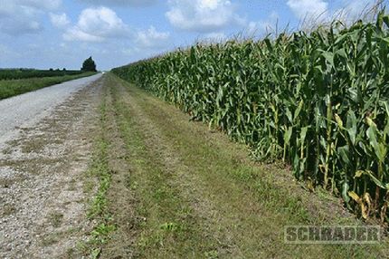 Property in Jasper County, Indiana