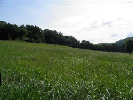 Property in Bedford County, Tennessee