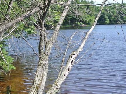 Property in Oneida County, Wisconsin