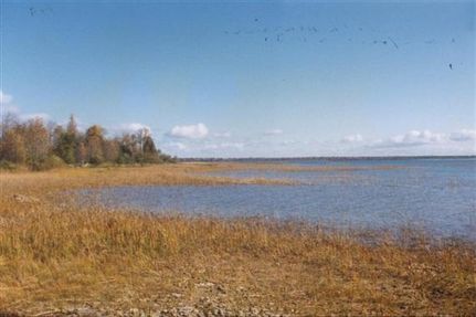 Property in Delta County, Michigan